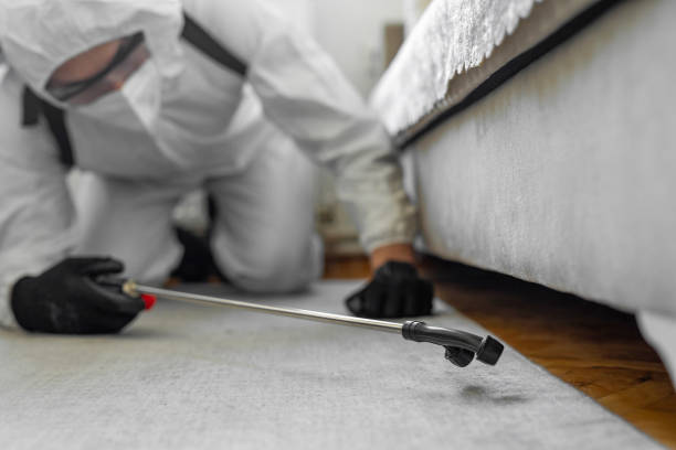 Professional Bed Bug Control technician working in Hoopers Creek, NC