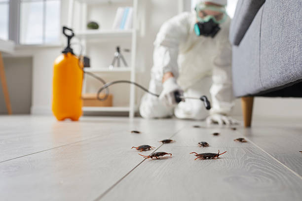Trusted Fumigation Services service in Hoopers Creek, NC - Nex Pest Control
