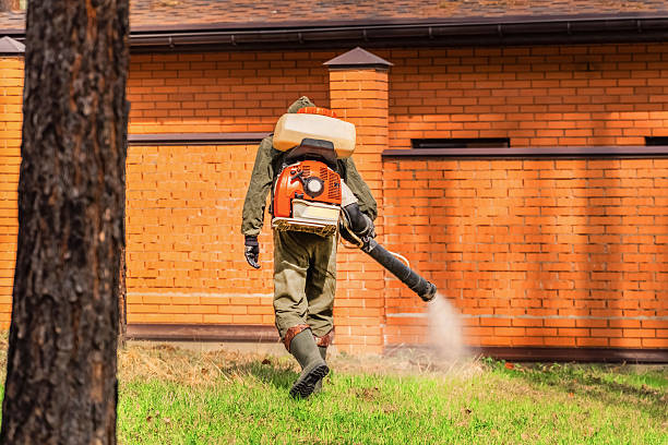 Trusted Emergency Pest Control service in Hoopers Creek, NC - Nex Pest Control